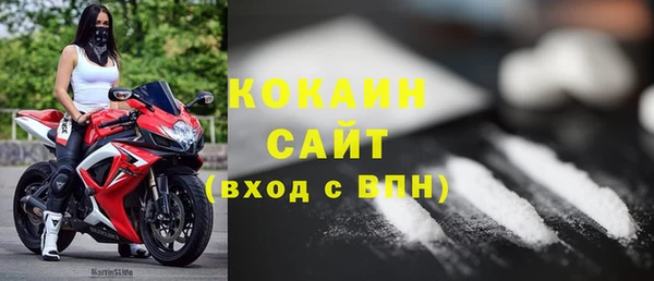 сатива Тавда