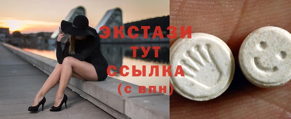 винт Тайга