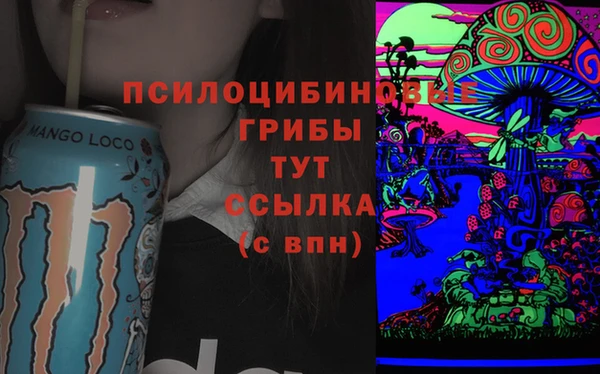 винт Тайга