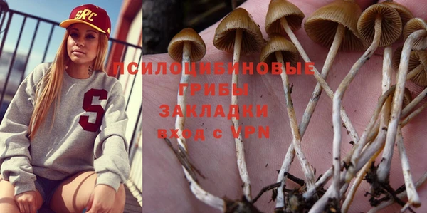 бошки Карабаш