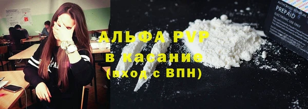 винт Тайга