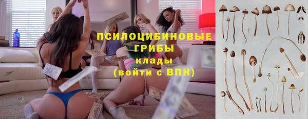 сатива Тавда