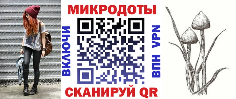 omg онион  Берёзовский  Галлюциногенные грибы GOLDEN TEACHER 