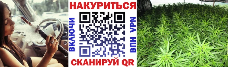 как найти закладки  Берёзовский  Каннабис White Widow 